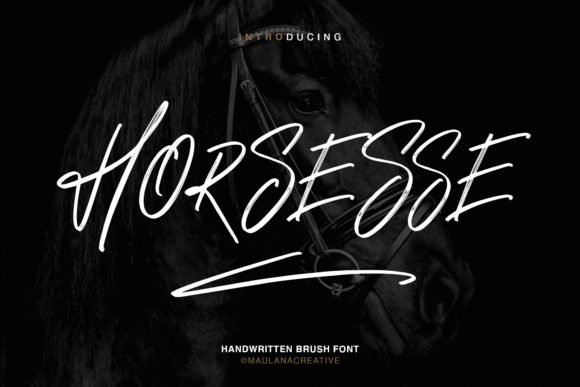 Horsesse: A Bold Typographic Statement
