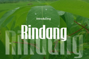 Rindang: A Fresh Display Font for Creative Projects